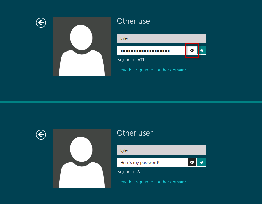 Show password in Windows XP/7/8/10