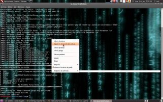 Introducing Web Application Vulnerability Miner