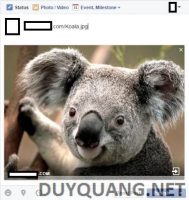 Instructions to Fake images for users to click Links on Facebook (C2)