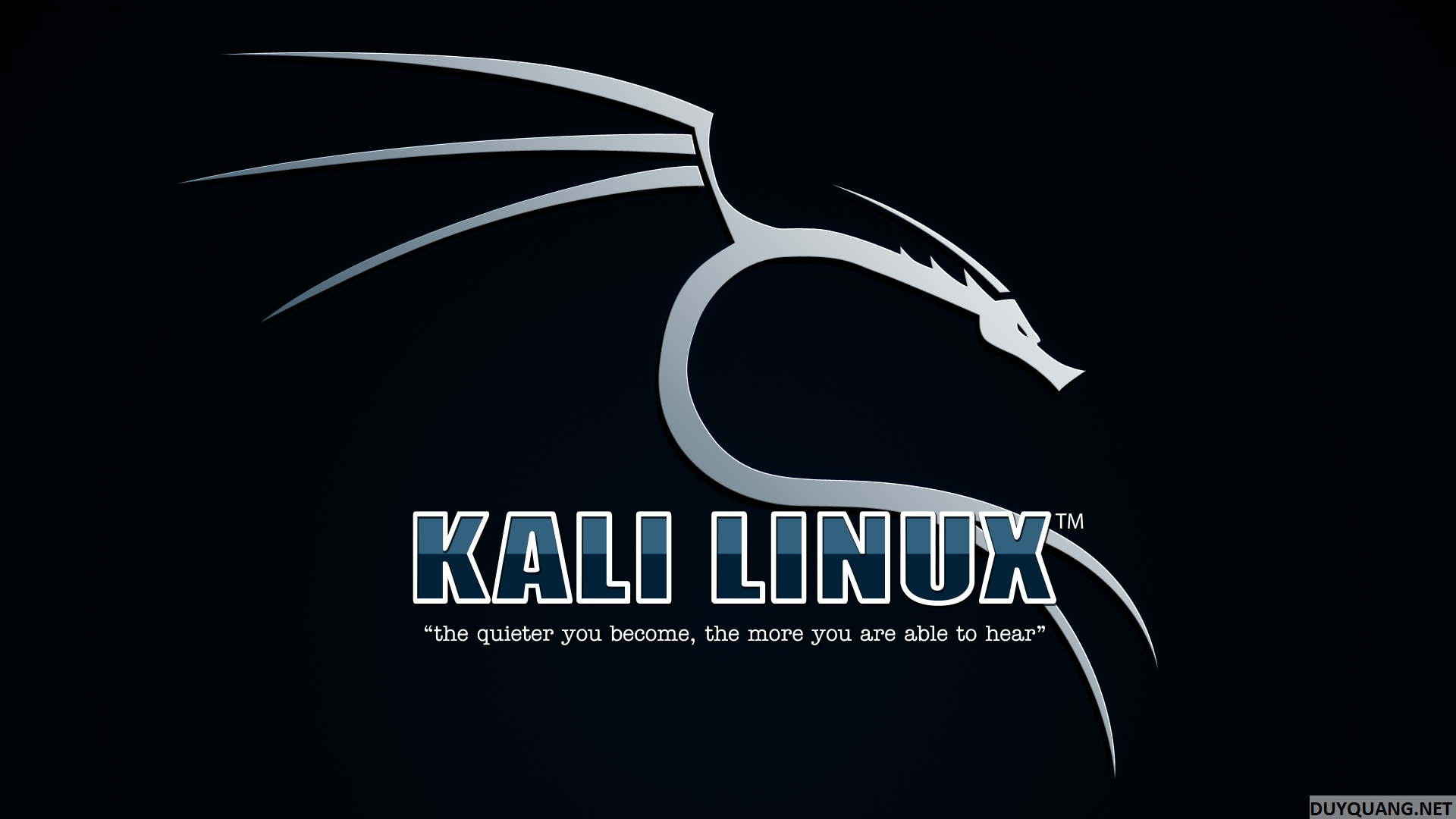 Install and use Kali Linux on VmWare