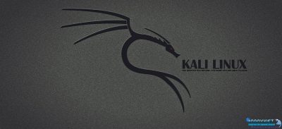 Kali Linux User Guide