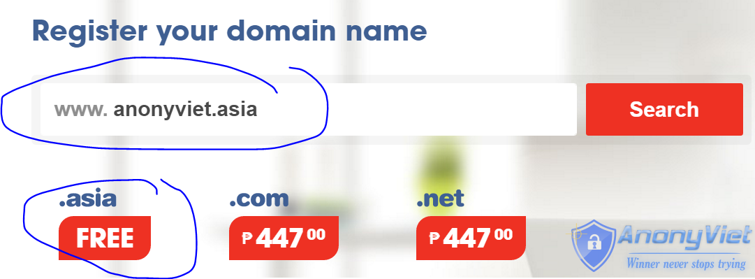 Instructions to Register Domain .Asia for free 8