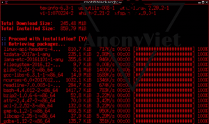 Hướng dẫn tải và cài đặt hệ điều hành BlackArch Linux trên VituralBox 10
