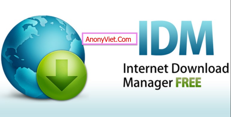 Download Internet Download Manager 6.38 Build 21 Full - Anonyviet - English  Version