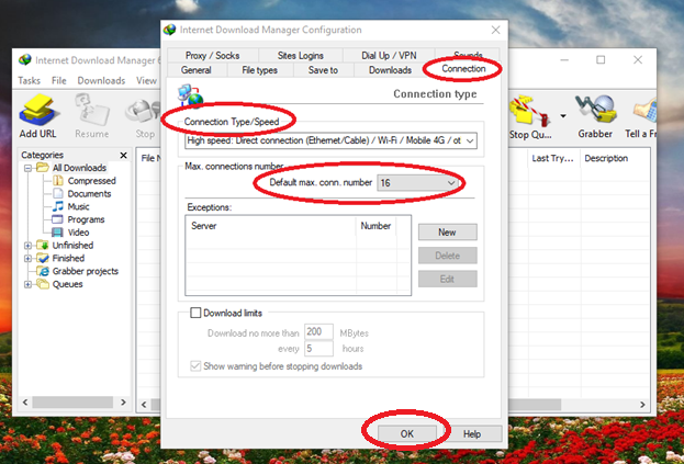 Tips for using Internet Download Manager software effectively 9