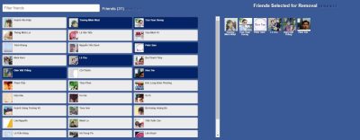 Unfriend people on Facebook the fastest with Friends Removal