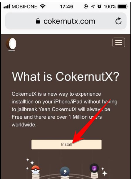Website cokernutX