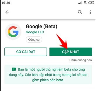 Download App Google Beta