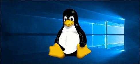 WSL 2 với nhân Linux windows 10 20H1