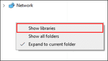 File Explorer Libraries