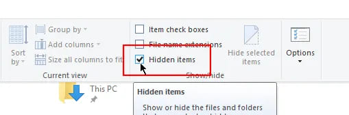 show hidden files in windows 10 to remove virus hidden files