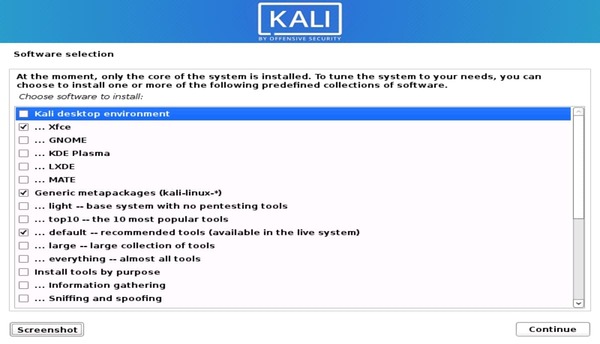 Kali linux installation interface