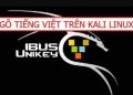 viết tiếng Việt trên kali linux