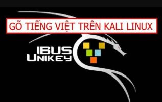 Instructions to install Vietnamese percussion on the latest Kali Linux with ibus-unikey