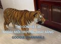 hướng dẫn dùng GOOGLE 3D ANIMALS OBJECT AR