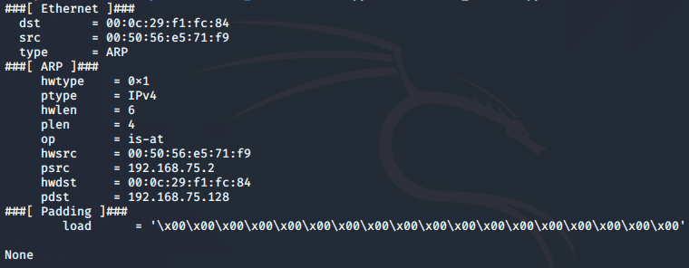 [PyHack]  Lesson 3: Network Scanner Scans network information