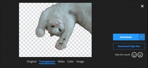 Transparent background video