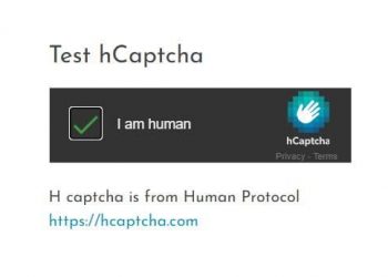Hướng dẫn Bypass hCaptcha không cần click hình ảnh xác minh 2