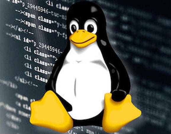 Linux server