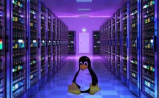 Top best Linux server versions in 2020