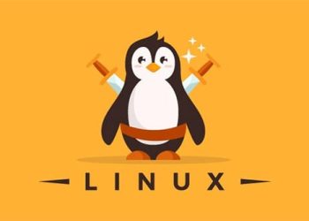 5 lý do để sử dụng Linux vào năm 2020