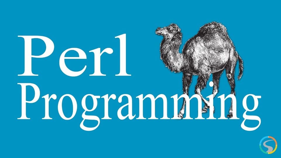 network administrators should learn perl