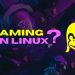 Có nên chơi game trên Linux không? 10