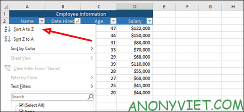 Cách sắp xếp và lọc dữ liệu trong Excel 27