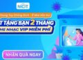 Share Code nâng cấp Account Nhaccuatui VIP 2020