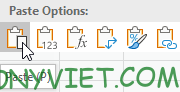 Paste Excel Paste Options
