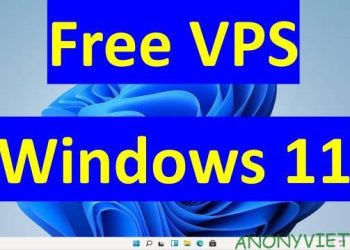 tao vps windows 11 free