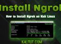 How to use ngrok 1024x536 1