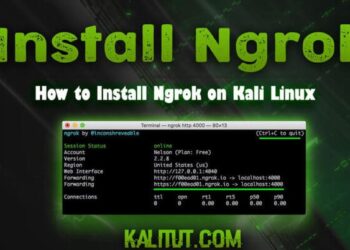 Cách cài đặt và sử dụng Ngrok để NAT Port 3