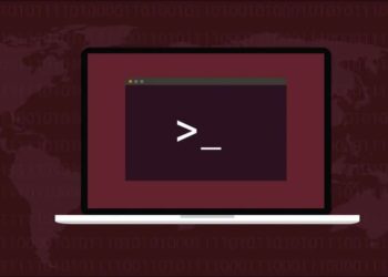 Cách quay video hoạt động Terminal trên Linux bằng script 6