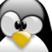 Các lệnh mạng cơ bản trong Linux bạn cần biết 9