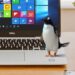 Cách chia sẻ và chuyển File giữa Windows và Linux 28