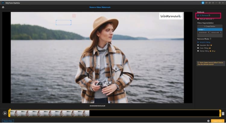 iMyFone MarkGo remove Watermark video