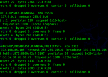 Cách tấn công DoS DHCP Server bằng Python 5