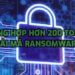 Tổng hợp Tool giải mã Ransomware