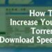 Cách tăng tốc độ tải Torrent lên 300% 7