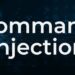 Cách khai thác lỗi Command Injection 8