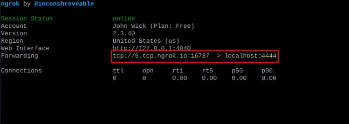 Cách cấu hình Ngrok để NAT Port trên Kali Linux 80