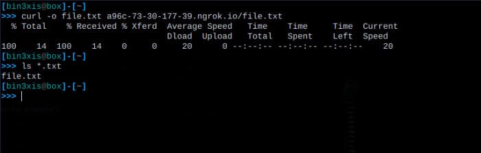 Cách cấu hình Ngrok để NAT Port trên Kali Linux 78