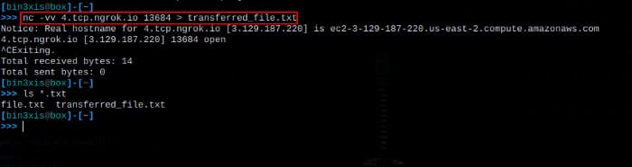 Cách cấu hình Ngrok để NAT Port trên Kali Linux 74