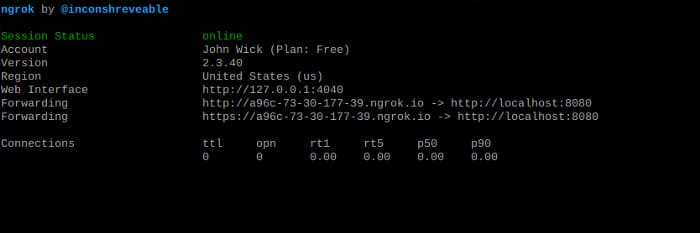 Cách cấu hình Ngrok để NAT Port trên Kali Linux 77
