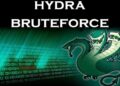 Cách dùng Hydra để tấn công Brute Force 4