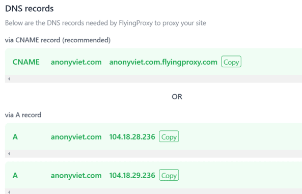 DNS record flyingproxy