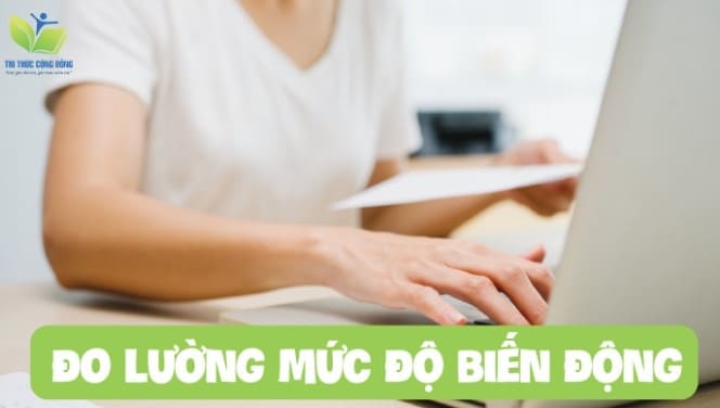 Đo lường mức độ biến động