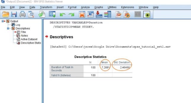 The results will be displayed on the SPSS Output screen