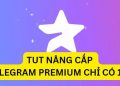 TUT NANG CAP TELEGRAM PREMIUM GIA 15K